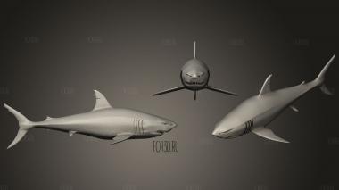 White Shark stl model for CNC